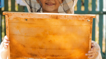 Kinder und Bienen - Wie man jungen Menschen den Naturschutz näherbringt