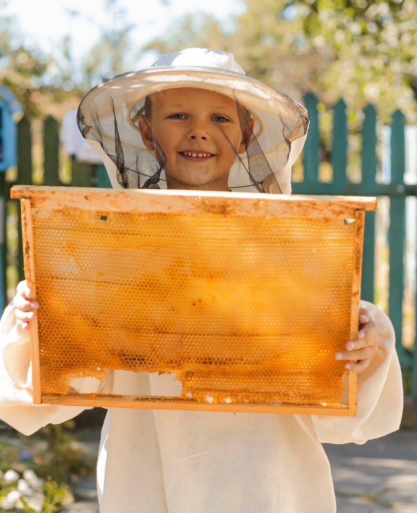 Kinder und Bienen - Wie man jungen Menschen den Naturschutz näherbringt
