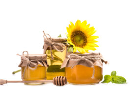 Sonnenblumenhonig - Goldgelb und sommerlich im Geschmack
