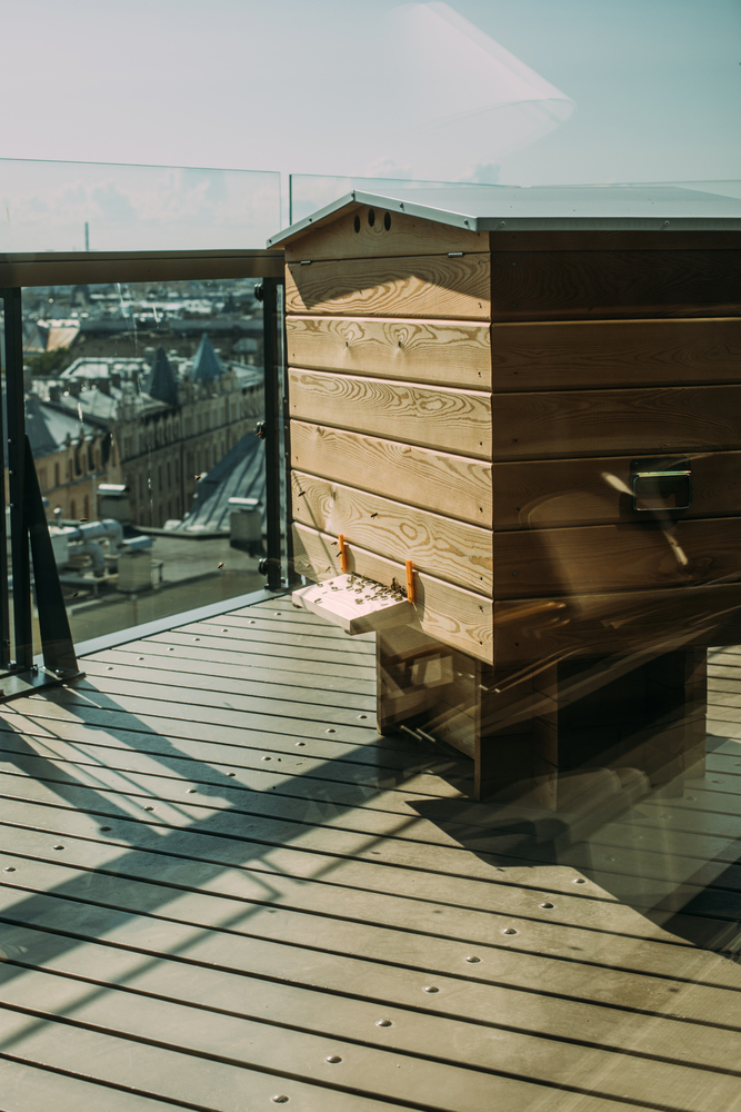 Urban Beekeeping - Bienenhaltung in der Stadt